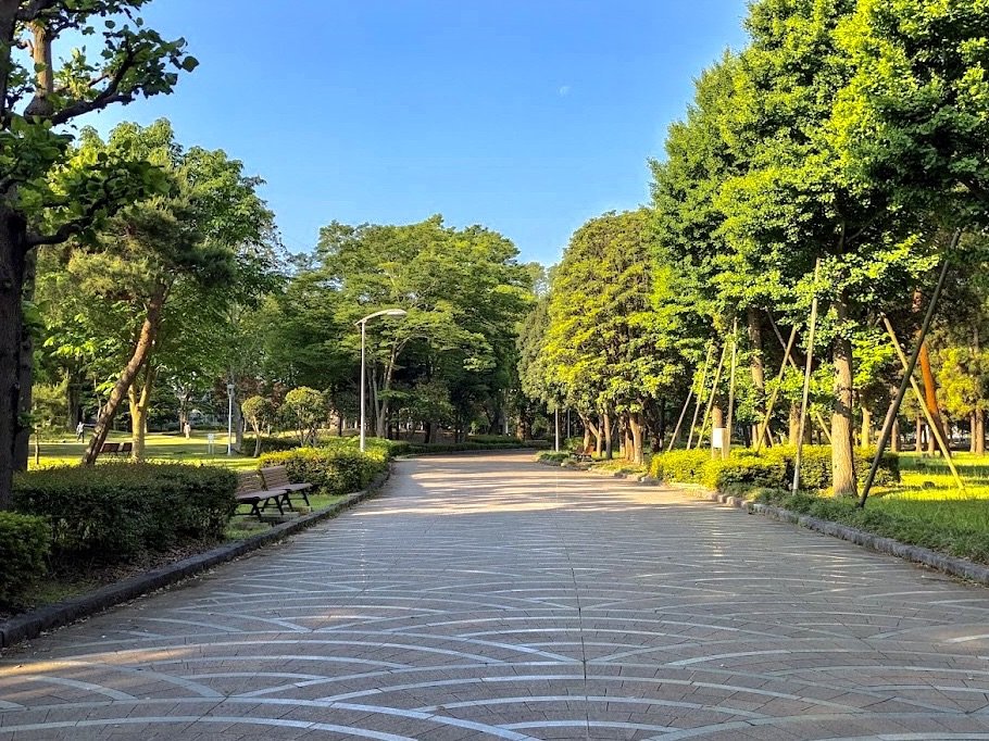 🌳 소나무 보기 공원(마쓰미 코엔) 이미지 5